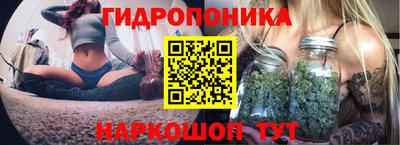 ECSTASY Кизляр