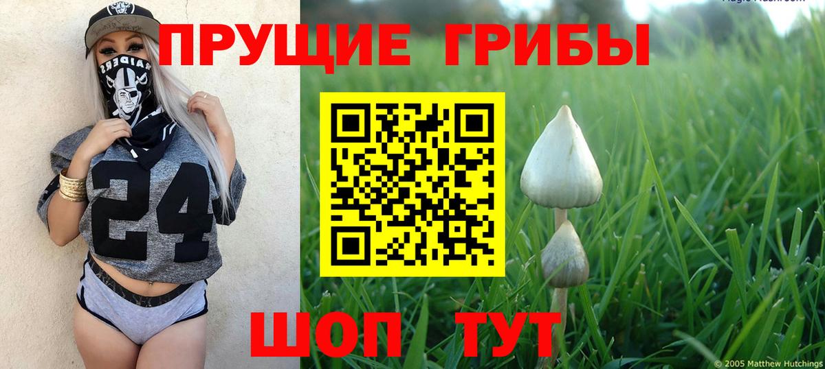 Менделеевск  Галлюциногенные грибы MAGIC MUSHROOMS  Вход с VPN 