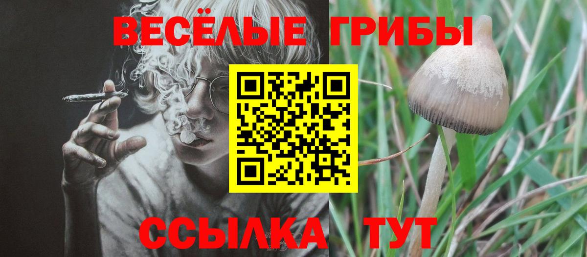 Псилоцибиновые грибы MAGIC MUSHROOMS Менделеевск